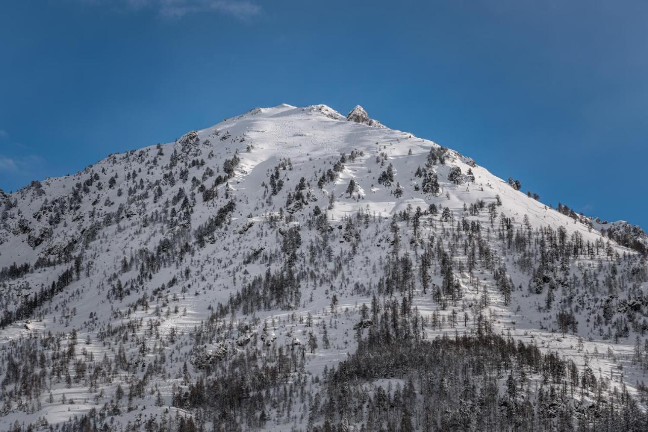 Le Chalet Blanc Hotel & Spa モンジェネヴル エクステリア 写真